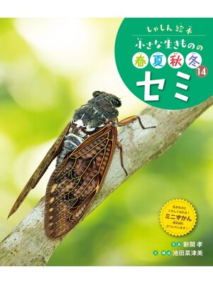 cover image of セミ１４　しゃしん絵本　小さな生きものの春夏秋冬